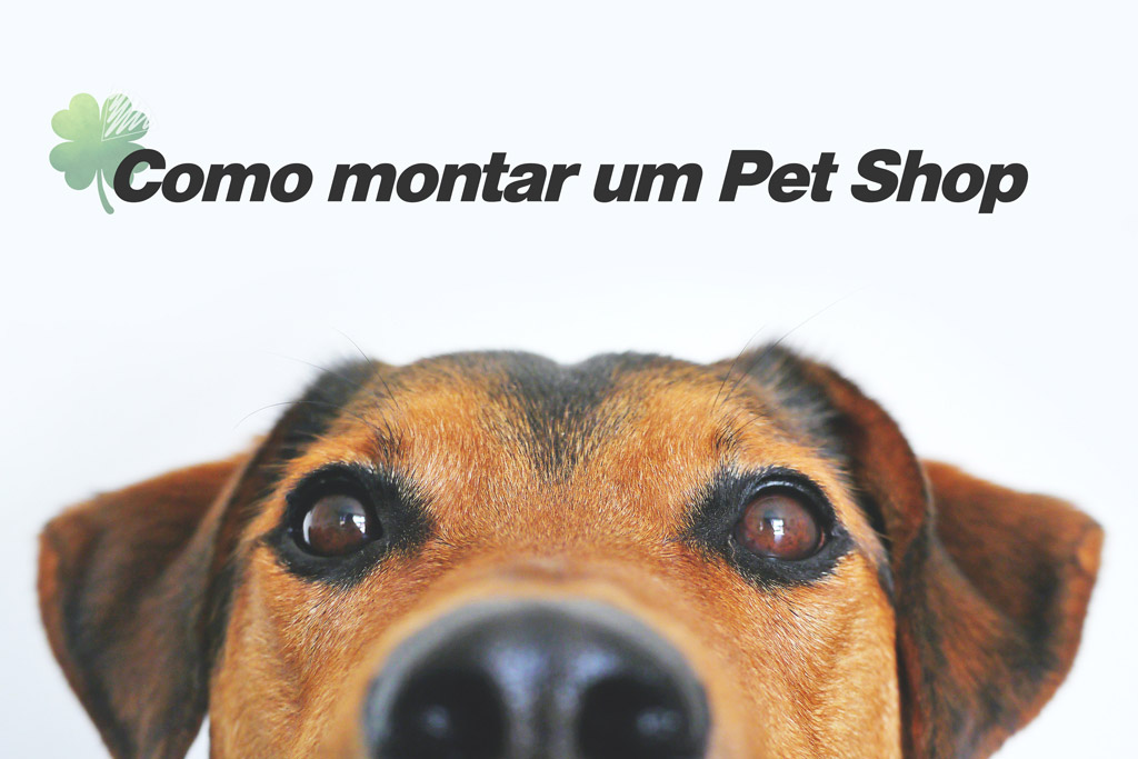dicas como montar um pet shop